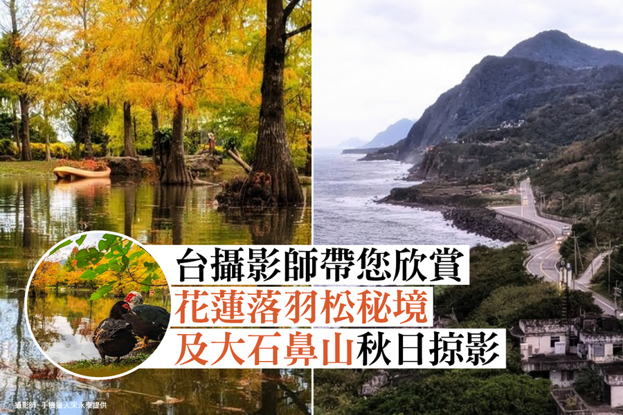 【眼晴想旅行】台攝影師帶您欣賞花蓮落羽松秘境及大石鼻山秋日掠影（多圖）