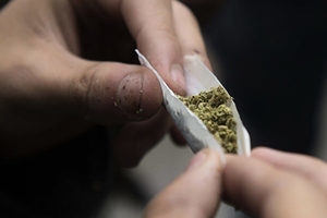 青少年涉吸毒人數顯著上升 吸食大麻情況嚴重