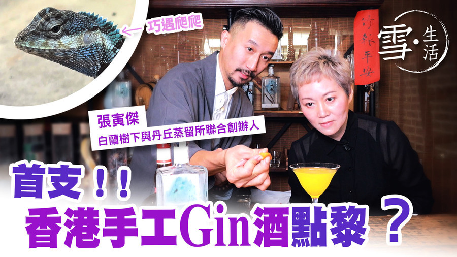 【雪·生活】首支香港手工Gin酒點黎？