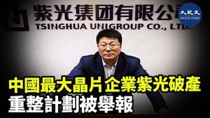 中國最大晶片企業紫光破產 重整計劃被舉報
