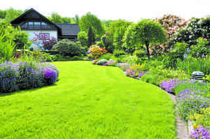 做好冬季庭園維護 期待來年美麗花園