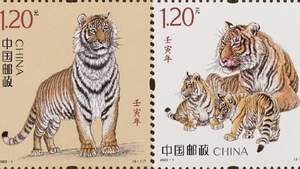 網民熱議中國虎年郵票：老虎「愁容滿臉」