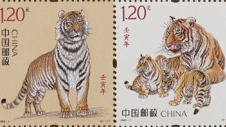 網民熱議中國虎年郵票：老虎「愁容滿臉」