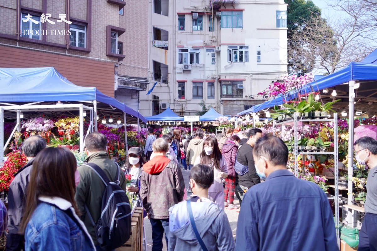 鄰近中國新年，市民周末前往花墟購買年花。（余鋼／大紀元）