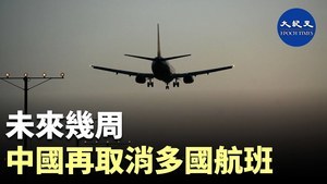 未來幾周 中國再取消多國航班