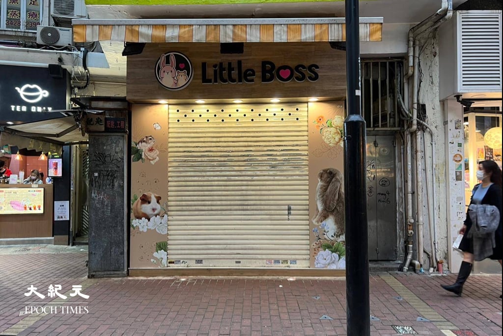 銅鑼灣寵物店Little Boss。（朱寶生／大紀元）