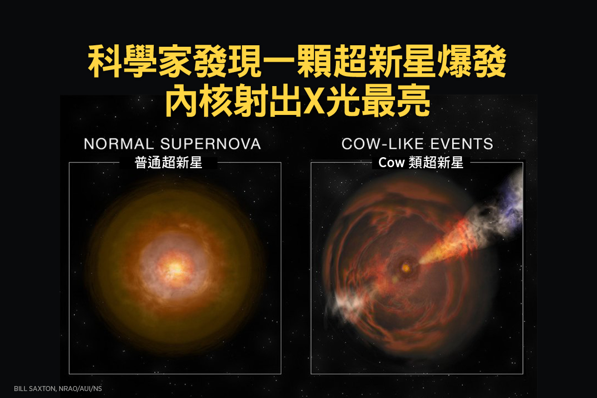 普通超新星（左）和Cow類超新星（右）的對比示意圖。（Bill Saxton, NRAO/AUI/NS）