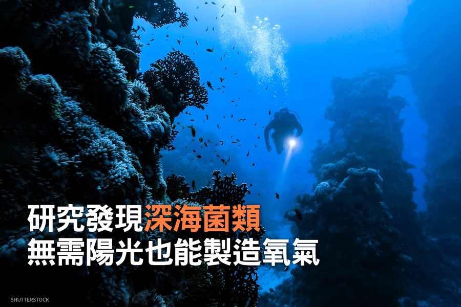 研究發現深海菌類無需陽光也能製造氧氣