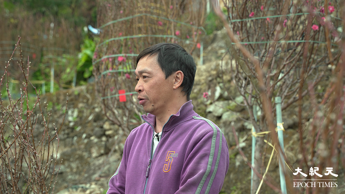 在香港守護農業不易，邱生感受到一種使命感。（鄧卓儒／大紀元）