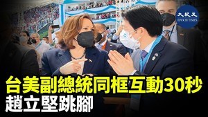 台美副總統同框互動30秒 趙立堅跳腳