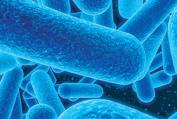 當腸道中的好菌變少，菌種多樣性也降低，就是腸道老化的徵兆。
