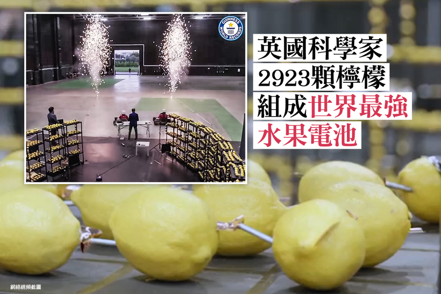 英國科學家2923顆檸檬組成世界最強水果電池