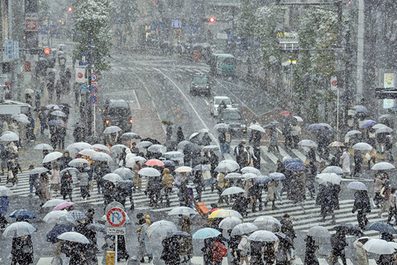 東京都恐降大雪 逾200航班停飛 