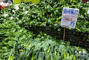 多名中港司機染疫 本港蔬菜供應受阻 菜價再升
