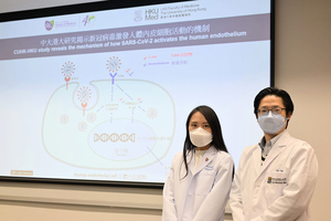 港兩大醫學院共同研究 揭Covid-19誘發血管炎症新機制