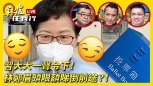 【圍爐任我行】習大大一聲令下！林鄭眉頭眼額睇倒前途？！