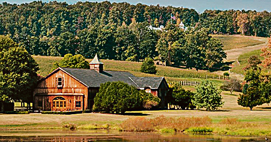 特朗普旗下位於維珍尼亞州的1,300英畝的葡萄酒莊園。（ 網絡圖片）