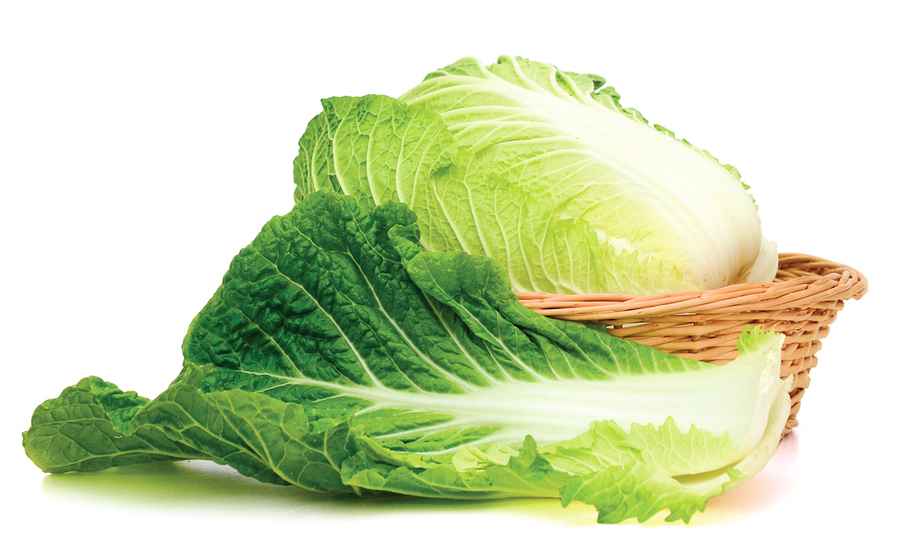 冬季護膚、防癌首選蔬菜 大白菜