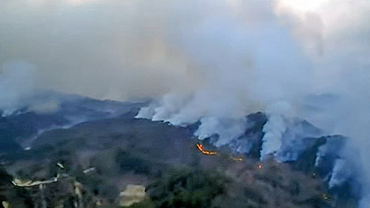 南韓森林大火 近兩萬公頃被毀