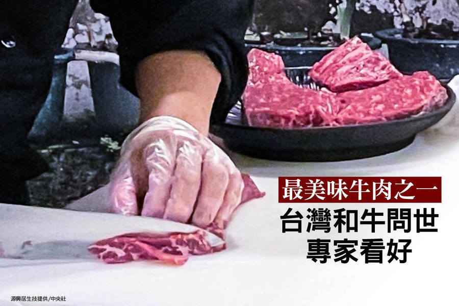 最美味牛肉之一 「台灣和牛」問世 專家看好