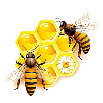【萬物有靈】蜜蜂吃糖心情愉悅 研究發現昆蟲也有感覺