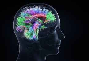 牛津研究指染疫者或腦部萎縮受損 專家警告勿輕視Omicron