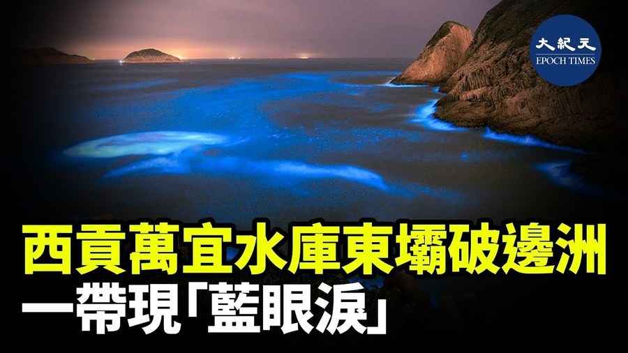 西貢萬宜水庫東壩破邊洲一帶「藍眼淚」