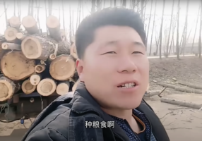中國糧食短缺到了砍樹種糧的地步（影片）