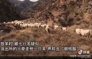 中共「防疫人員」搶農民的羊 稱是要做核酸