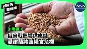 俄烏戰影響供應鏈  愛爾蘭將臨糧食危機