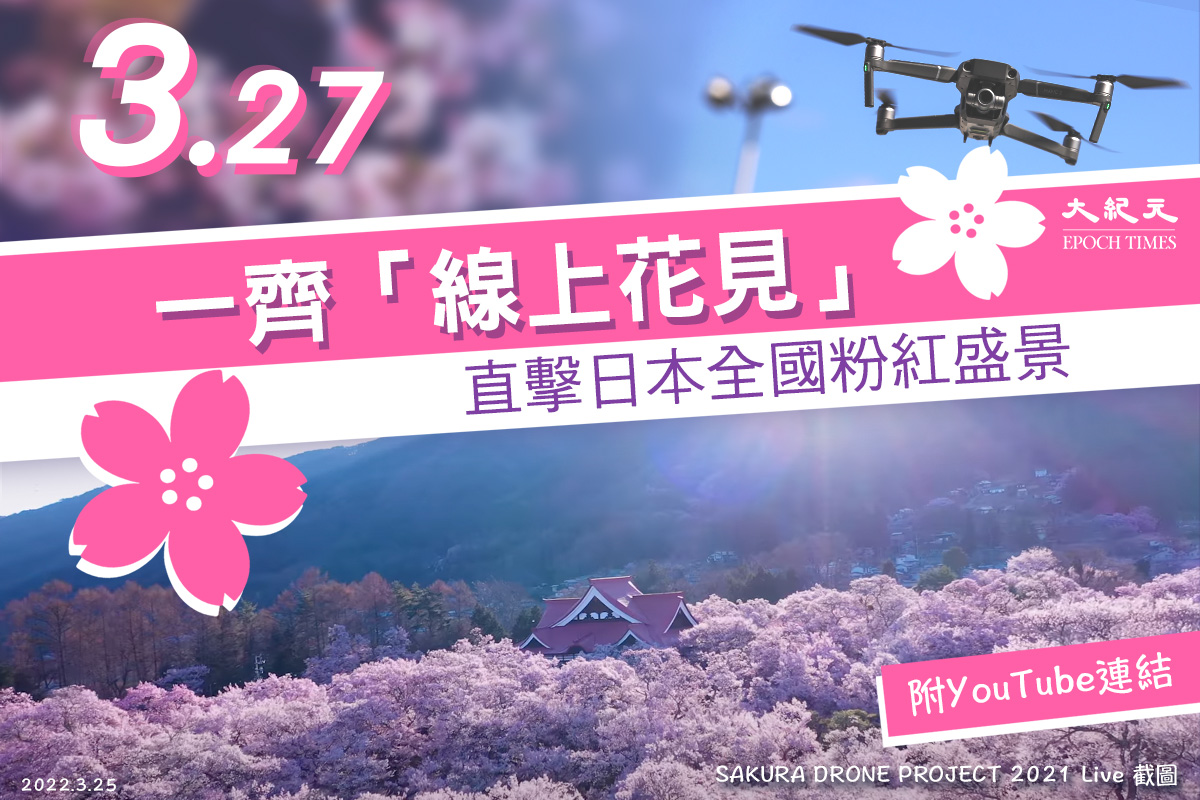 「Sakura Drone Project」今年繼續會於3月27日舉辦「網上賞花日」，直播日本各地賞櫻勝地美景。（大紀元製圖）