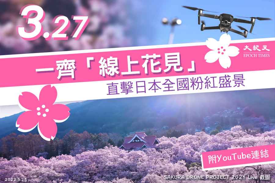 4K高清賞櫻｜3.27一齊「線上花見」 直播日本全國粉紅盛景
