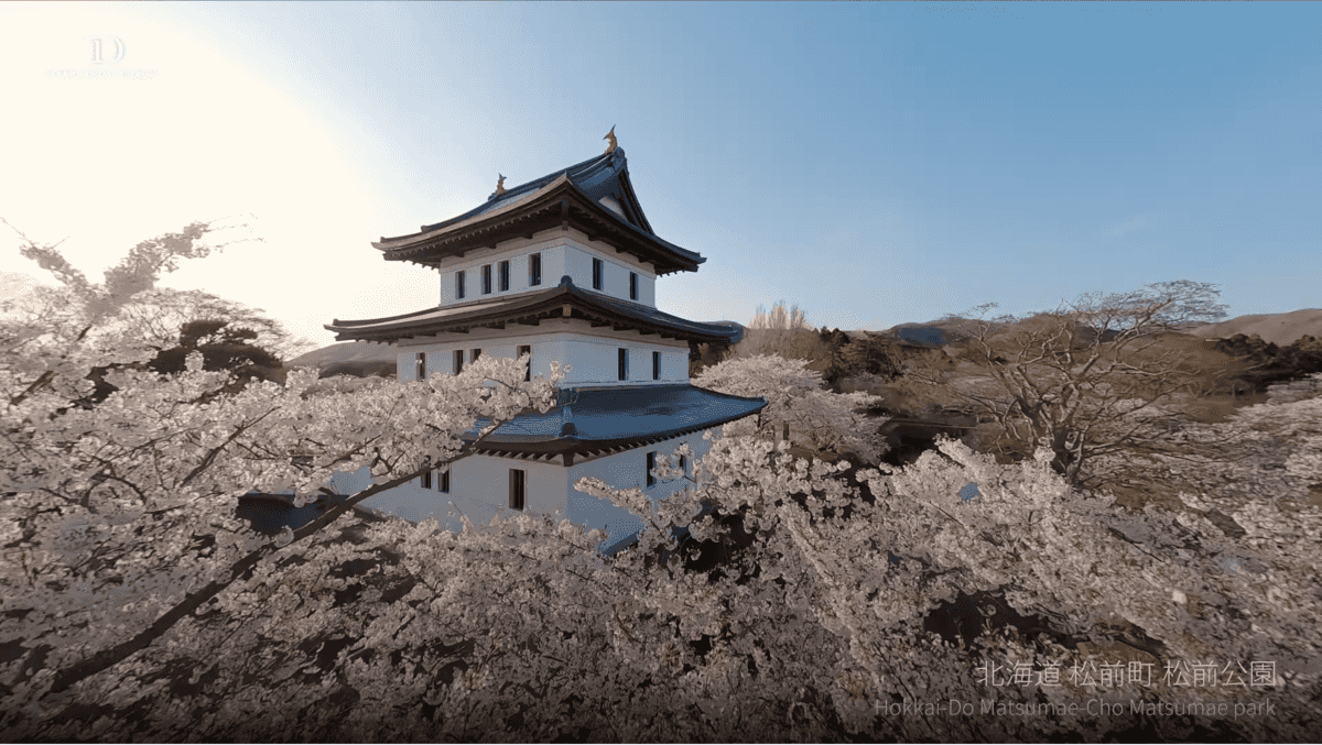日本北海道松前公園約萬株櫻花與古城相映成趣。（截自 SAKURA DRONE PROJECT YouTube Channel）