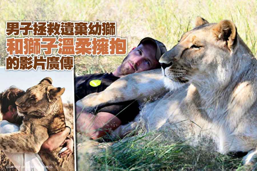 男子拯救遺棄幼獅 和獅子溫柔擁抱的影片廣傳