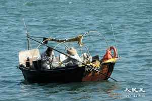 漁護署規管使用蛇籠捕魚