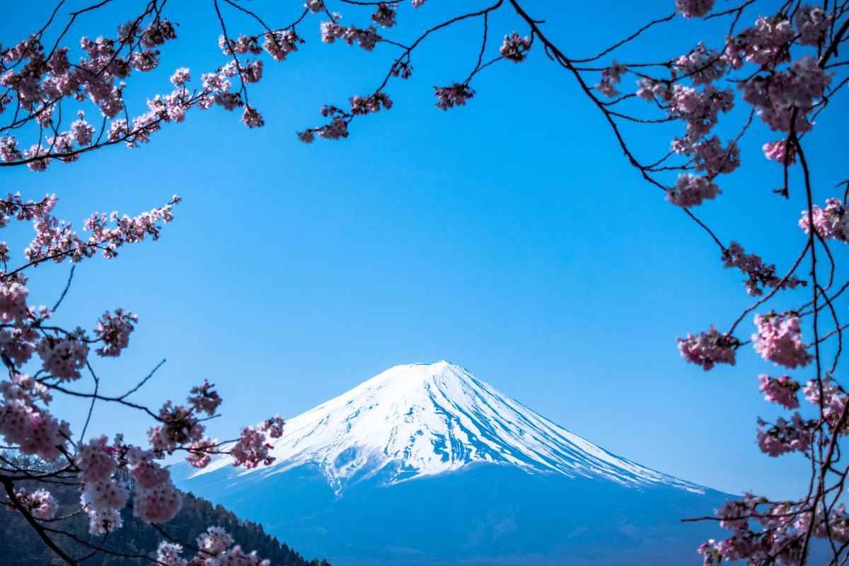 太久沒有看到富士山真身了，看相片都令人心癢。（Photo by JJ Ying on Unsplash）
