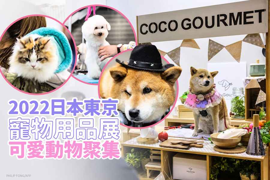 2022日本東京寵物用品展 可愛動物聚集（多圖）