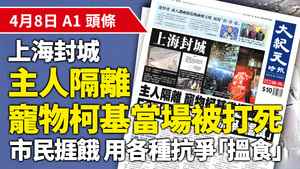 【A1頭條】上海封城 主人隔離 寵物柯基當場被打死 市民捱餓 用各種抗爭「搵食」