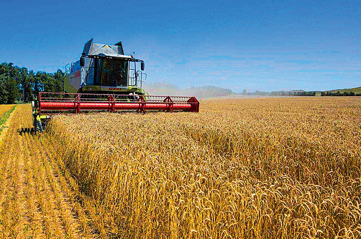 受俄烏戰爭的影響，烏克蘭近三成的冬季小麥或無法收割；春季粟米播種面積或減少三成。圖為烏克蘭赫梅利尼茨基地區的一塊麥田。（INNA SOKOLOVSKAYA/AFP via Getty Images）
