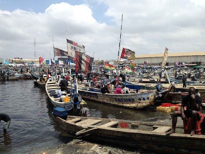 中共遠洋捕魚船隊非法濫捕 致西非民生困難