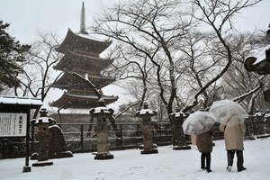 東京可能下11月雪  54年來僅見