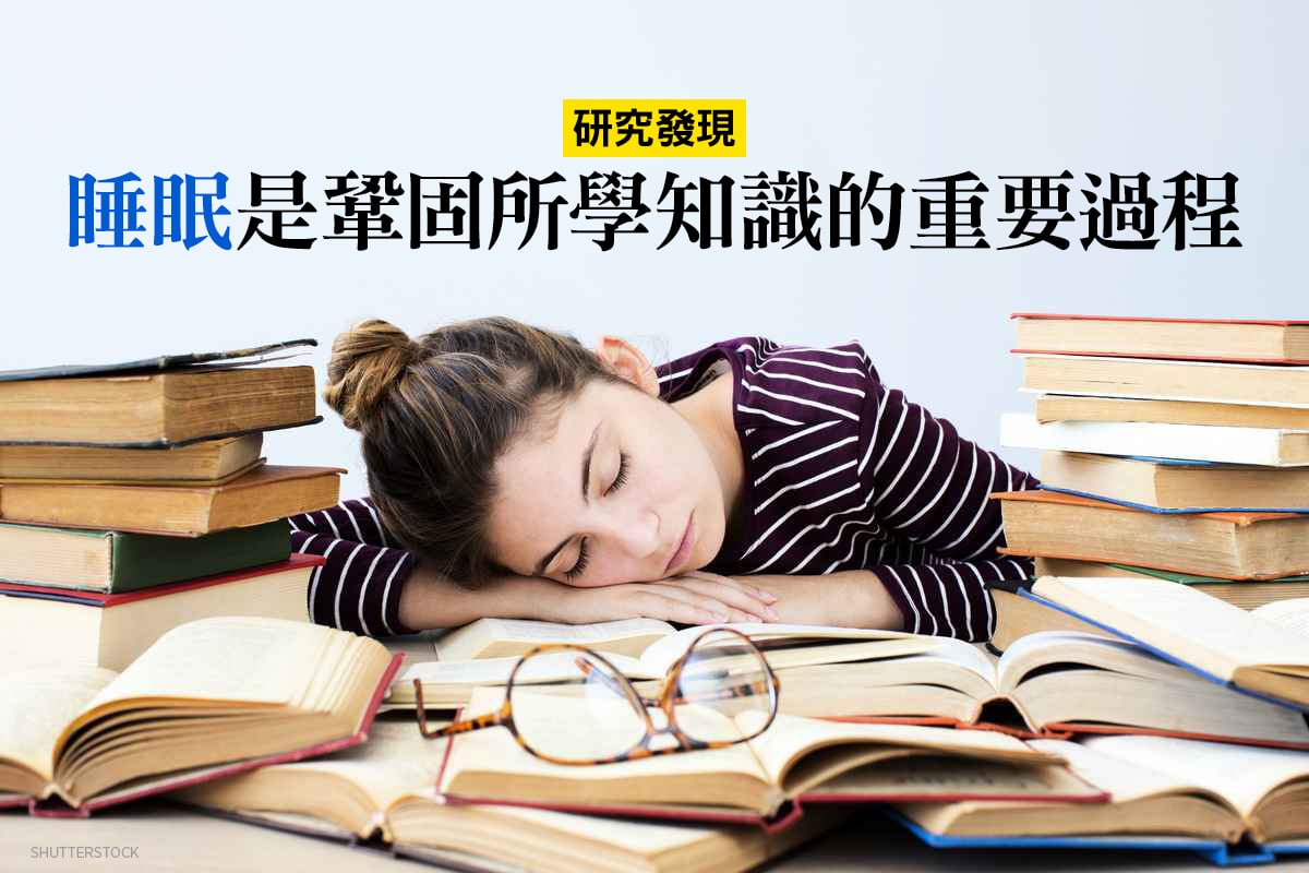 研究發現睡眠是學習過程的重要一步。(Shutterstock)