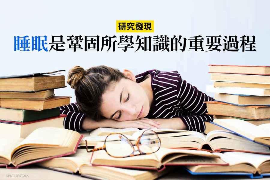 研究：睡眠是鞏固所學知識的重要過程