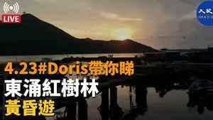 【4.23直播】Doris帶你睇：東涌紅樹林黃昏遊