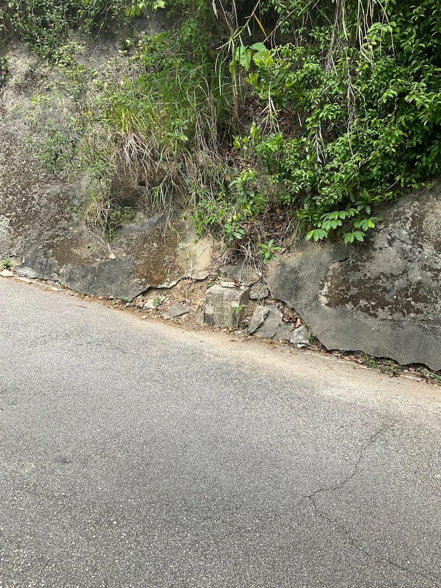 網友David於2020年3月在扎山道山邊發現的新九龍界石。（香港行跡提供）