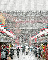 54年不遇 東京降11月雪