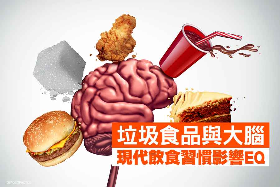 垃圾食品與大腦：現代飲食習慣影響EQ