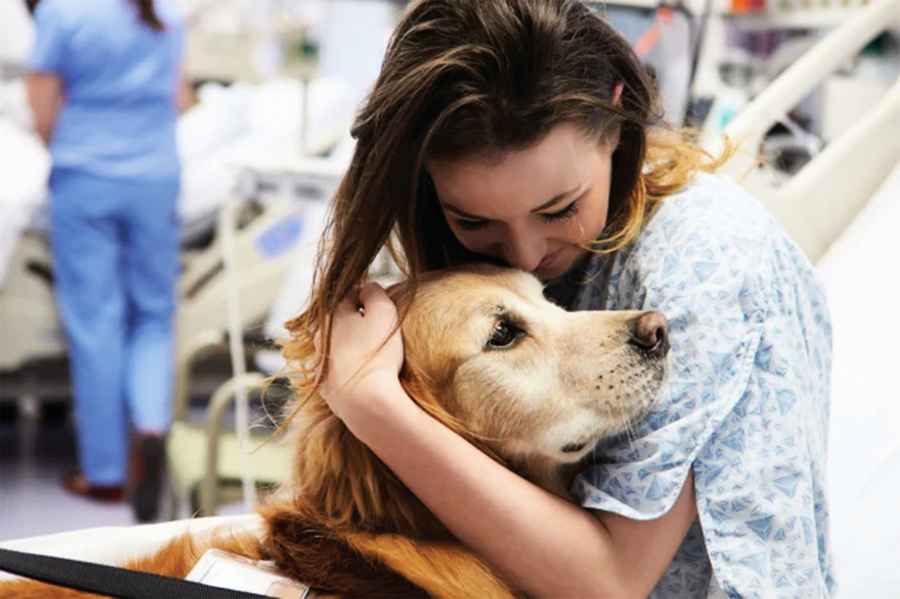 研究：狗狗「治癒」人們的疼痛 10分鐘見效