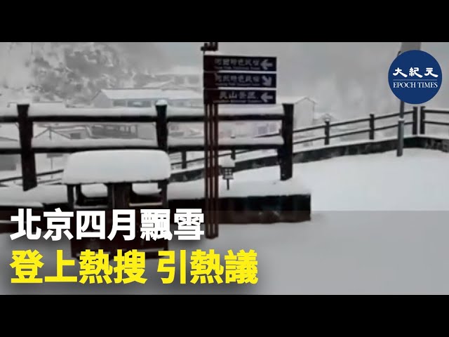 「北京四月飄雪」登上熱搜 引熱議