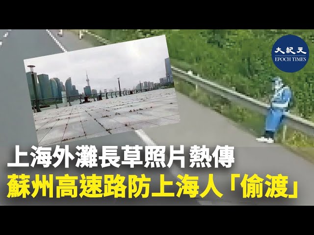 上海外灘長草照片熱傳 蘇州高速路防上海人「偷渡」